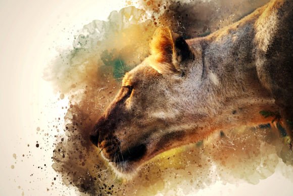 Download Printable Animal Graphics #07 - Animal graphics Collection